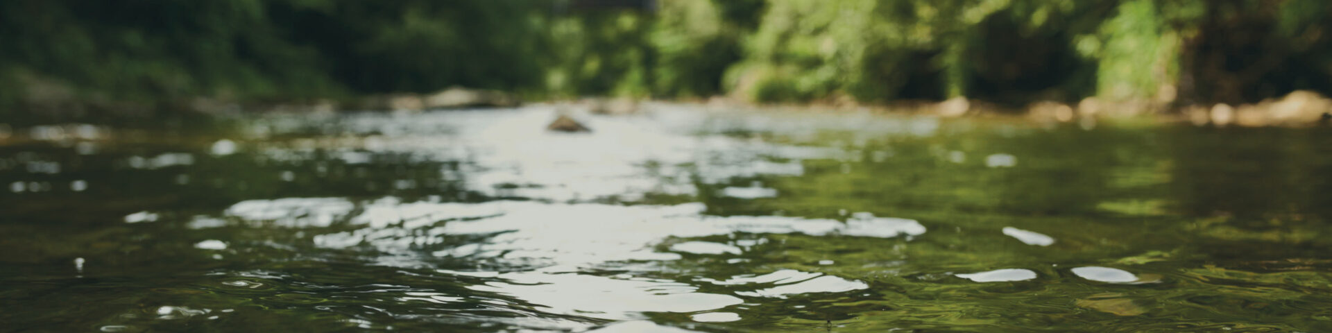 Schöpfen geht nur ohne Erschöpfung Flusswasser fließt, mit Bäumen im Hintergrund. Framechangers™ Gedankenflüsse 1