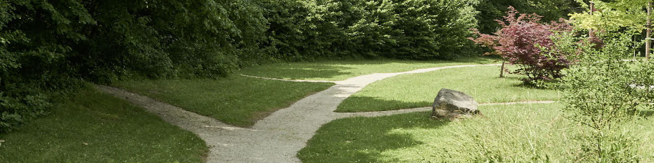 Pfadgabelung in grüner Landschaft, Wegweiser für achtsame Führung und Veränderung.
