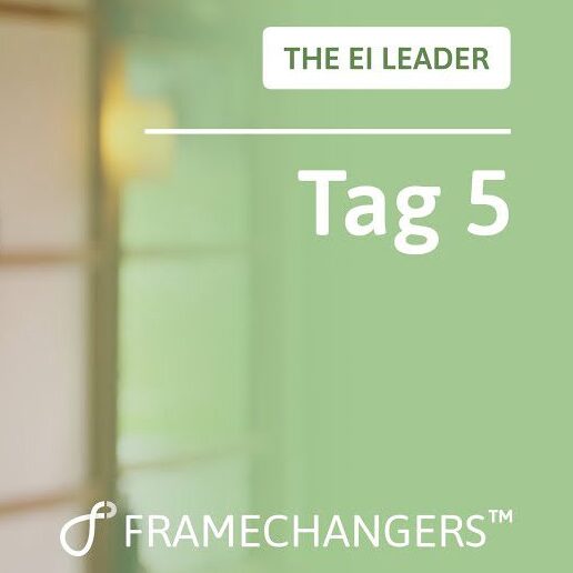 Tag 5: Sinn und Begeisterung, präsentiert von The EI Leader und Framechangers.