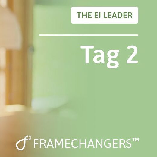 EI-Leader-Tag 2: Selbstfürsorge und Selbstwirksamkeit.