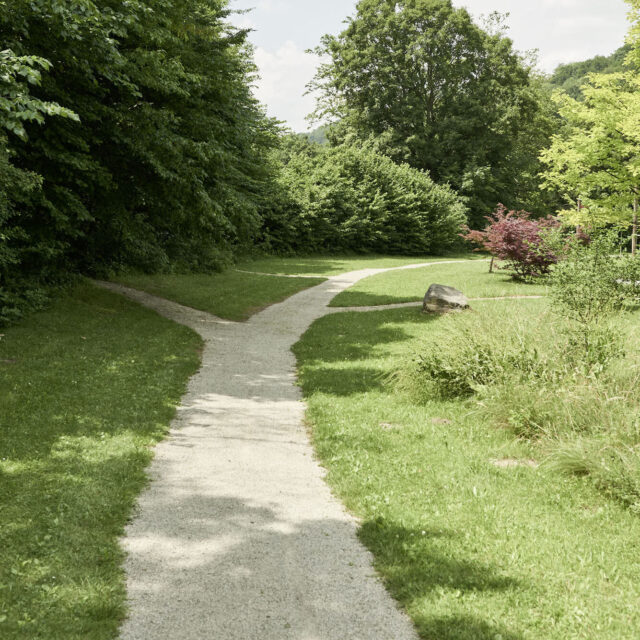 Ein Weg teilt sich in einem grünen Park, Symbol für Berufung und Lebensweg.