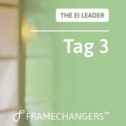 EI Leader Tag 3: Empathie und emotionale Resonanz