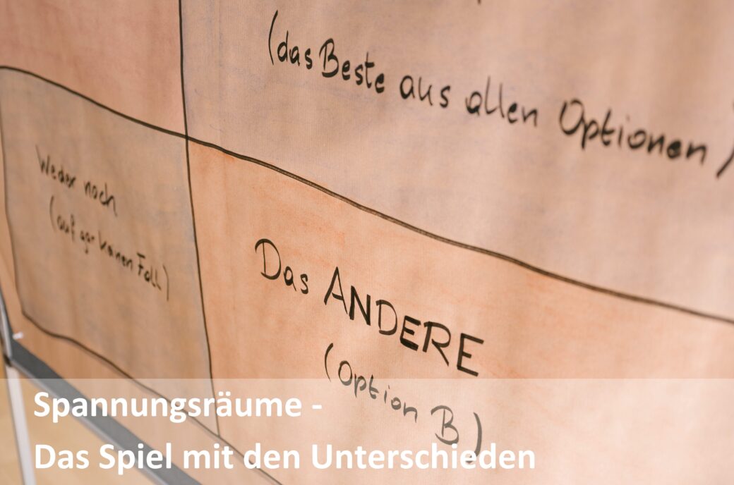 Das Spiel mit den Unterschieden: Spannungsräume und Angebotskategorien.