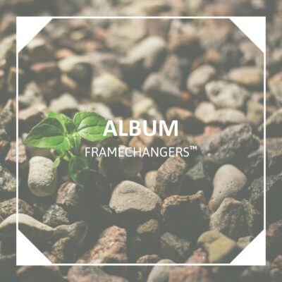 Album Framechangers™: Kleiner grüner Trieb wächst zwischen Kieselsteinen.