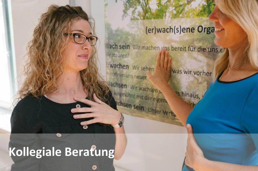 Zwei Frauen im Gespräch vor einem grünen Schild; Text: "Kollegiale Beratung"