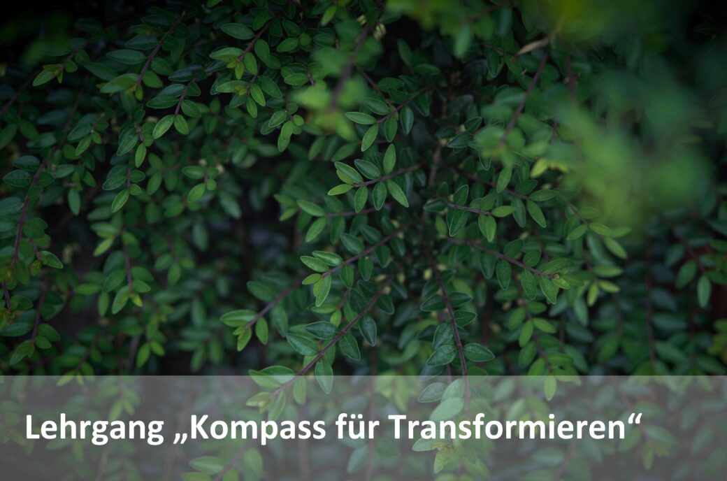 Text „Kompass für Transformieren“ vor einem Hintergrund von grünen Blättern.